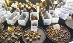 怎樣安全貯存蔬菜種子？蔬菜種子知識(shí)