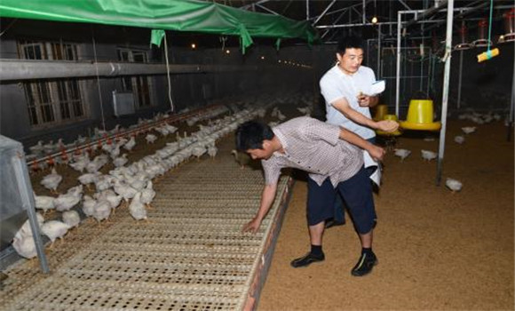 無污染、零排放