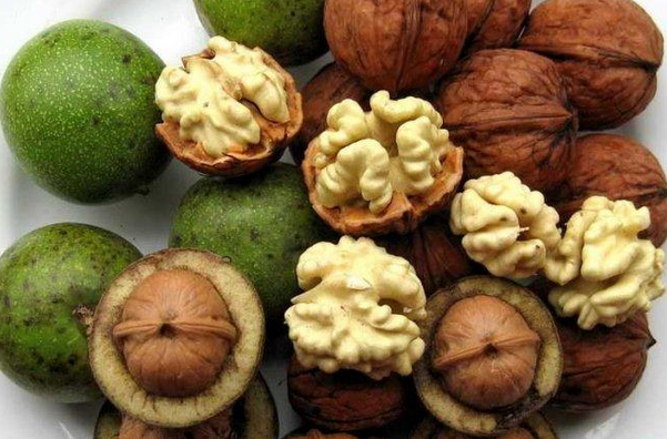 核桃的藥用價(jià)值 核桃能治什么病 核桃的功效與作用