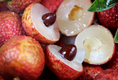 荔枝核能吃嗎？ 荔枝核的功效與作用