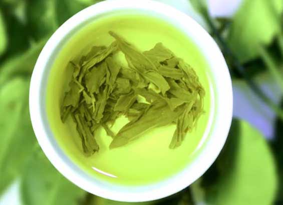 我國茶的種類有哪些 經(jīng)濟(jì)作物種植技術(shù)