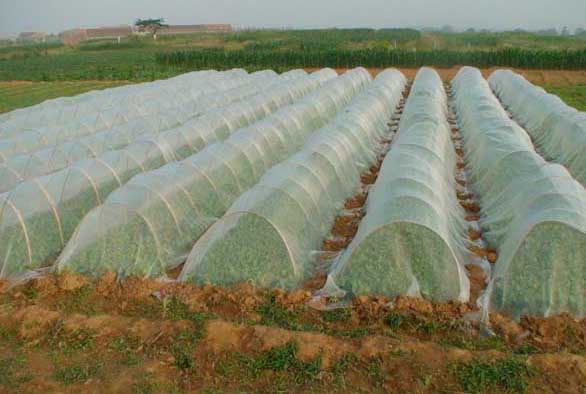 生物農(nóng)藥的三大類型 生物農(nóng)藥