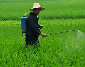 農(nóng)藥的科學(xué)施用技術(shù) 農(nóng)藥知識(shí)