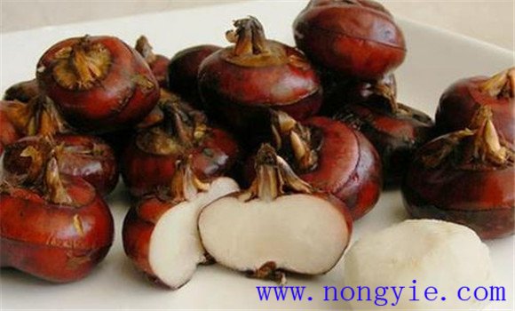 荸薺的營養(yǎng)價(jià)值