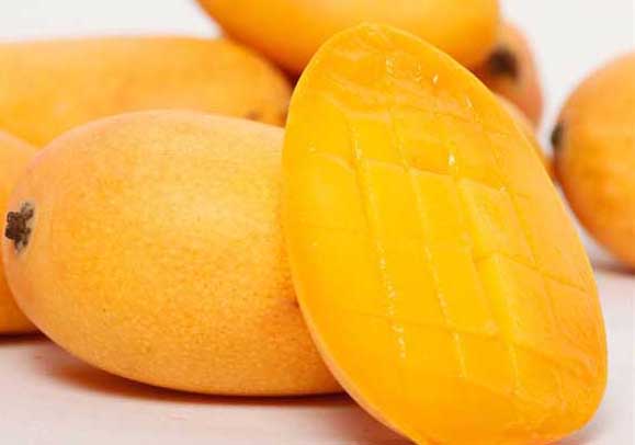 芒果-有關(guān)芒果的資料 芒果圖片