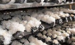 銀耳的蟲害主要有哪些,如何防治