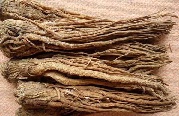 當(dāng)歸-有關(guān)當(dāng)歸的資料 當(dāng)歸圖片