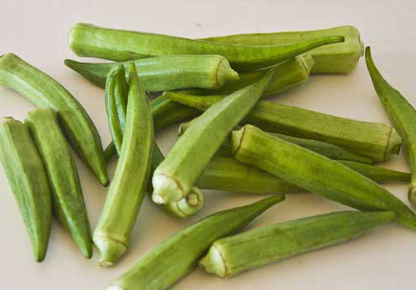 黃秋葵-有關(guān)黃秋葵的資料 黃秋葵圖片