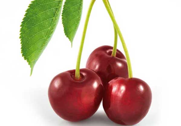 車?yán)遄?有關(guān)車?yán)遄拥馁Y料 車?yán)遄訄D片