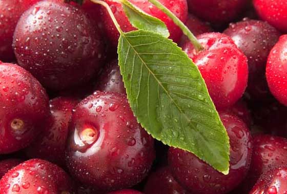 車?yán)遄?有關(guān)車?yán)遄拥馁Y料 車?yán)遄訄D片