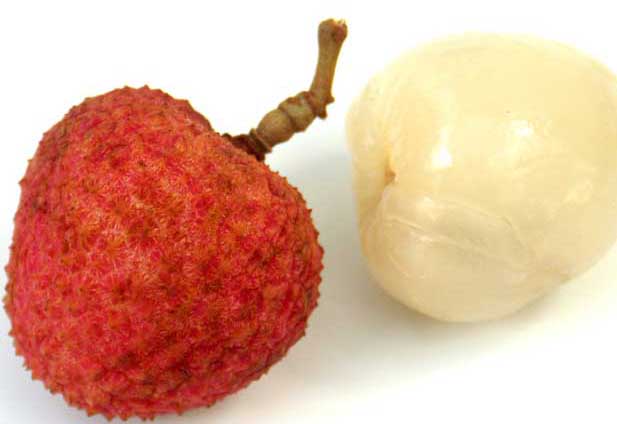 荔枝的功效與作用 荔枝種植方法