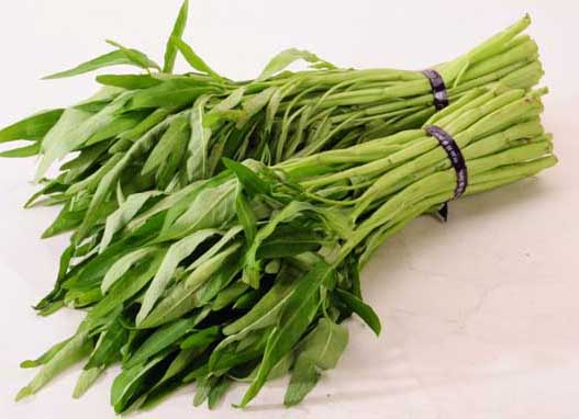 空心菜的營養(yǎng)價值 空心菜種植方法