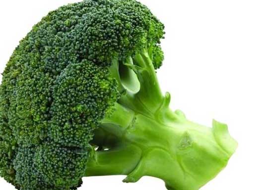 西蘭花的營(yíng)養(yǎng)價(jià)值 西蘭花種植技術(shù)