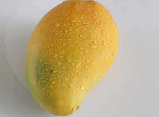 吃芒果的好處和壞處有哪些? 芒果種植方法