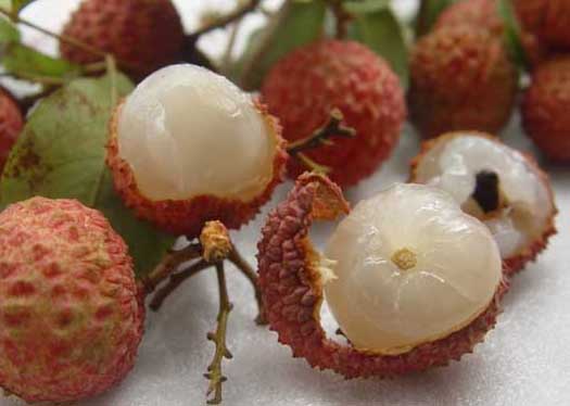 荔枝的功效與作用 荔枝種植技術(shù)