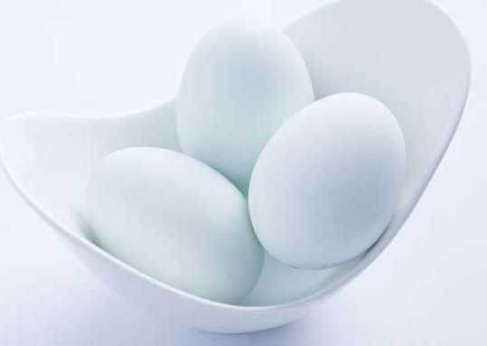 鵝養(yǎng)殖技術