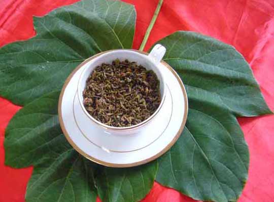 葛花茶的作用與功效 經(jīng)濟作物種植方法