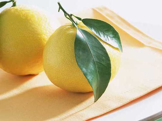柚子皮的功效與作用 果樹種植方法