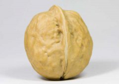 核桃的功效與作用有哪些，吃核桃有什么好處？