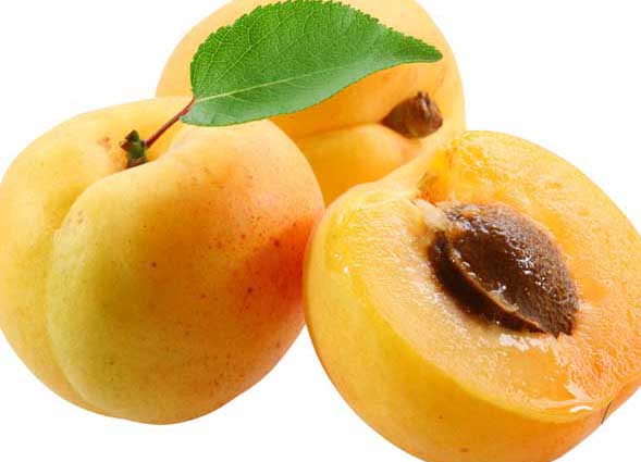 孕婦能吃杏嗎? 果樹種植管理方法