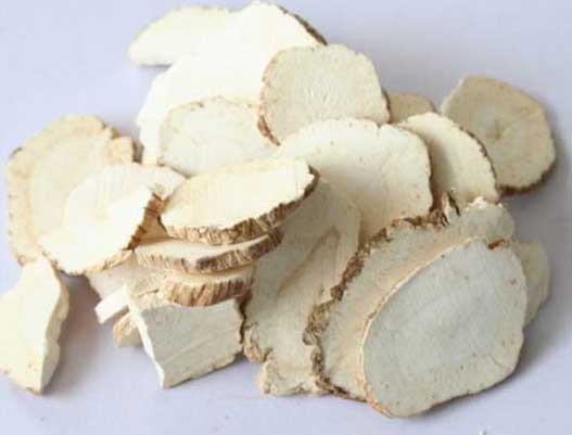 白芷的功效與作用 白芷的功效與作用