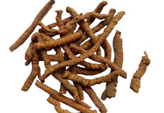 遠(yuǎn)志的功效與作用 遠(yuǎn)志的功效與作用