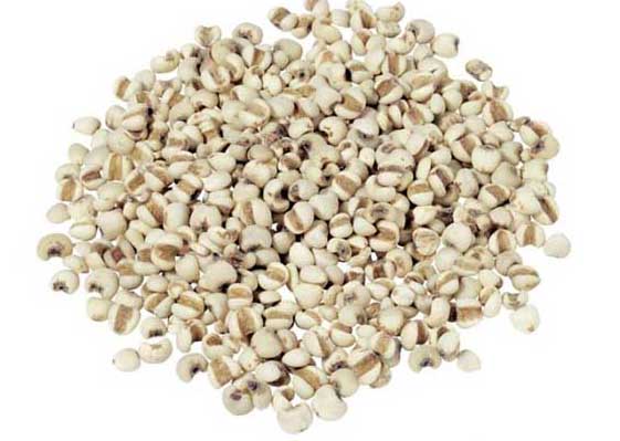 薏苡仁的功效與作用 中藥材的功效與作用