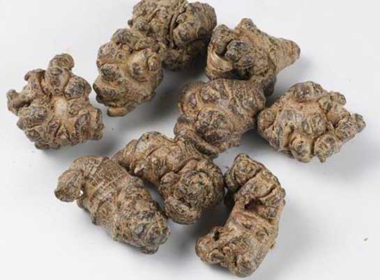 三七的功效與作用 三七的功效與作用