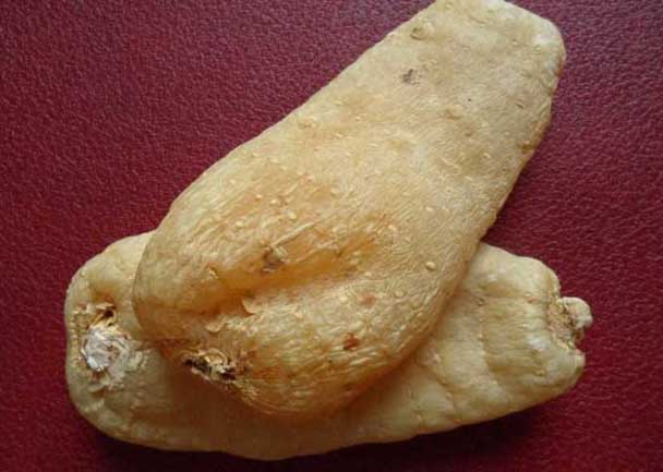 天麻的功效與作用 天麻的功效與作用