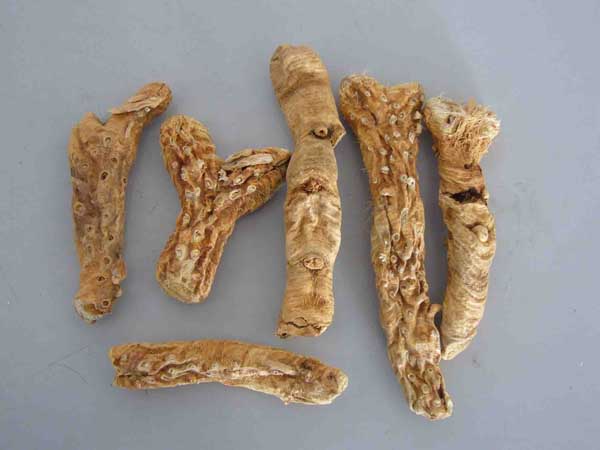 知母的功效與作用 知母的功效與作用