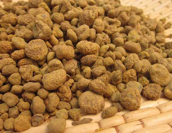 元胡的功效與作用 中藥材的功效與作用