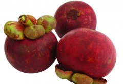 孕婦能吃山竹嗎?有哪些需注意事項