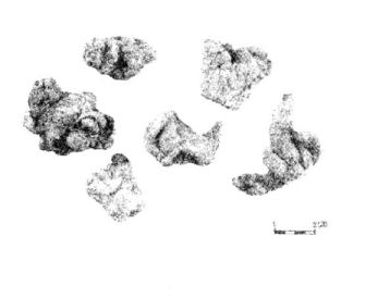 三七粉的作用與功效和用法用量 三七粉的功效與作用