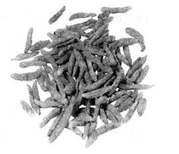 麥門冬的功效與藥用驗方 麥門冬的功效與作用