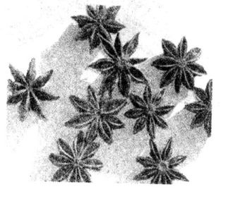 大茴香有哪些作用 大茴香的功效與作用