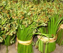 蕨菜的營養(yǎng)價(jià)值有哪些？