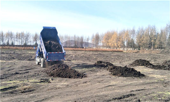 棉花田間管理技術(shù)要點、管理內(nèi)容及具體措施