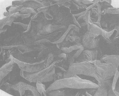 吃黑木耳有什么好處 黑木耳的功效與作用