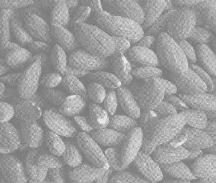 苦杏仁怎么吃-杏仁的吃法舉例 養(yǎng)生知識