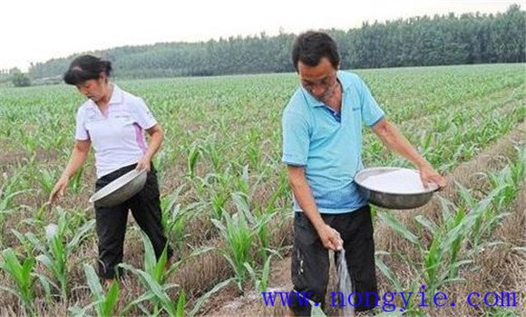 氮、磷、鉀肥配合施用