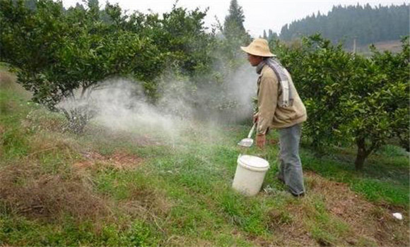 防好病蟲，保護(hù)葉片