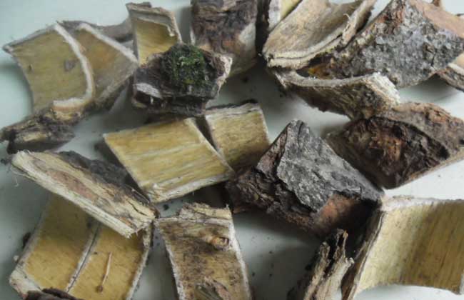 合歡皮的功效與作用 合歡花的功效與作用