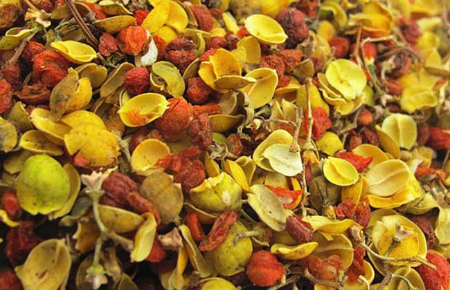 合歡花茶的功效與作用 合歡花茶的作用