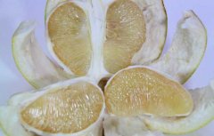 糖尿病人吃什么水果好，糖尿病人不宜吃的食物