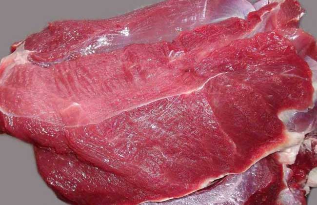 梅花鹿肉的營養(yǎng)價值及食用功效 梅花鹿的功效與作用