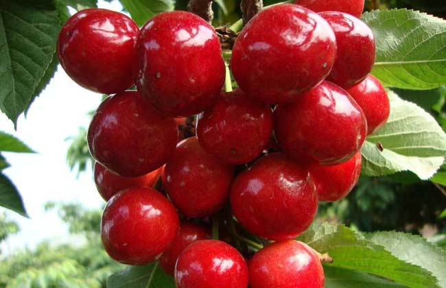 車?yán)遄幽芊疟鋯幔? width= 生活常識