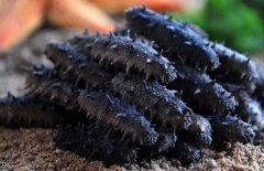 干海參怎么發(fā)？