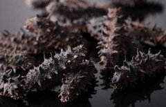 如何選購干海參？干海參的發(fā)泡方法