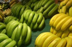 香蕉不能和什么一起吃？