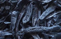 什么是清水貨水蛭，什么是礬水貨水蛭？